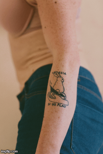 Poesia i + 2019